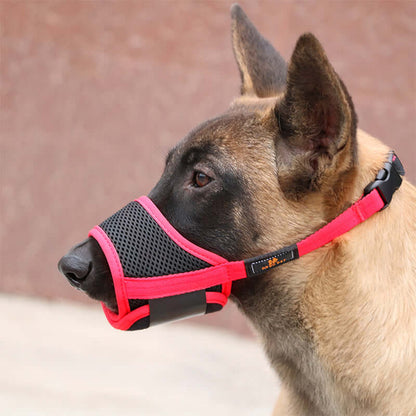 Adjustable Mask For Pets Without Biting on a dog in breathable mesh, designed for comfort and safety.