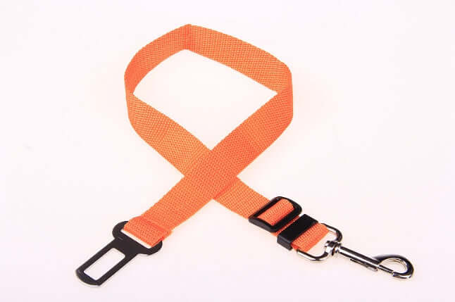 Fixed Strap Polyester Dog Strap Dog Leash Dog Leash in vibrant orange color, designed for safe pet travel.