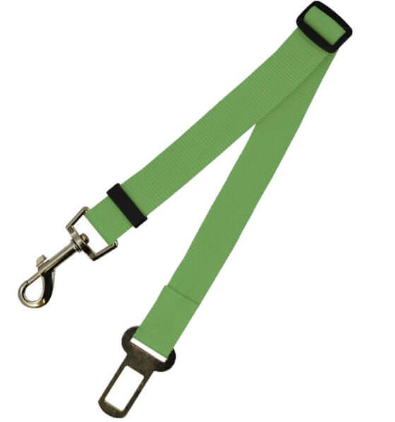 Fixed Strap Polyester Dog Strap Dog Leash Dog Leash in bright green color for safe pet travel.