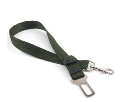 Fixed Strap Polyester Dog Strap Dog Leash Dog Leash in green color with metal clip and adjustable length.