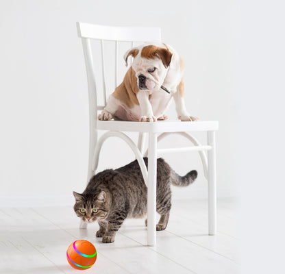 Intelligent Cat Wicked Ball Toy with a cat and a dog playing around it on a white wooden floor.