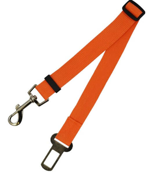Fixed Strap Polyester Dog Strap Dog Leash Dog Leash in vibrant orange color, designed for pet safety and comfort.