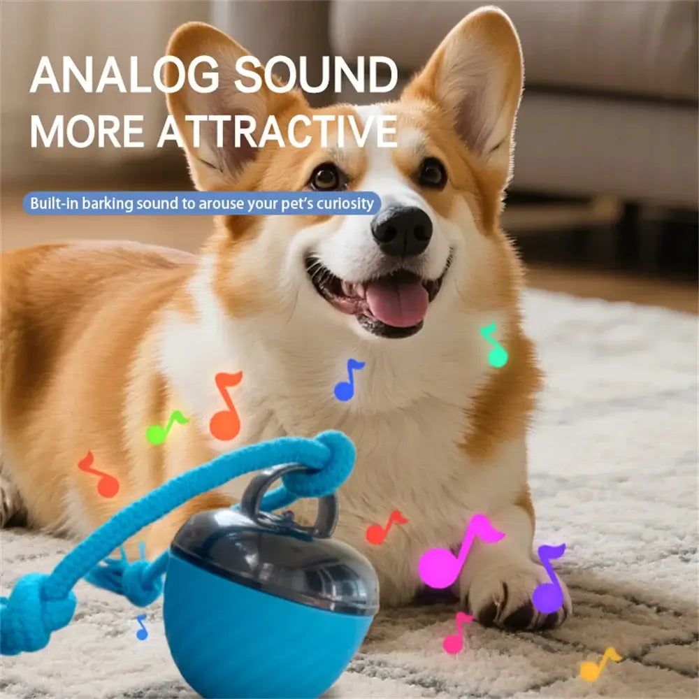 Vantio SmartBall - Interactive Motion-Activated Dog Toy