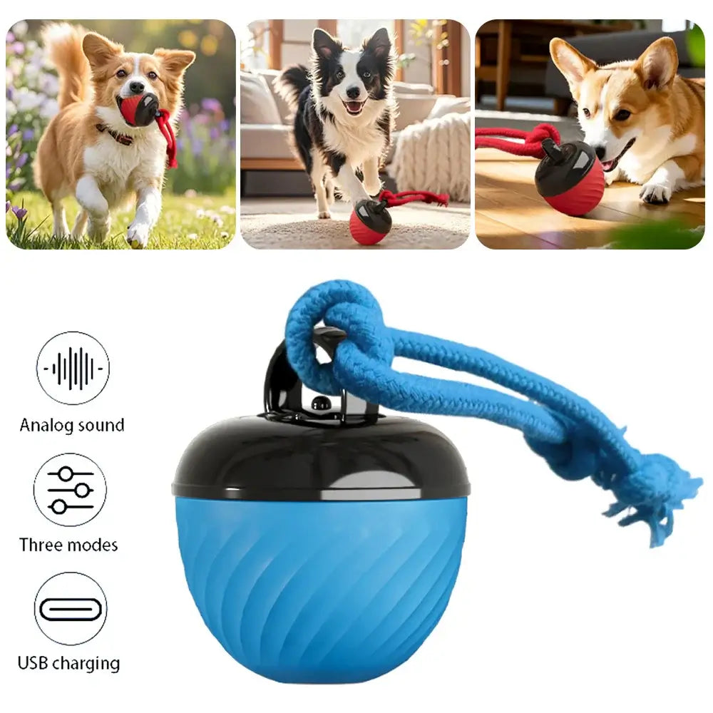 Vantio SmartBall - Interactive Motion-Activated Dog Toy