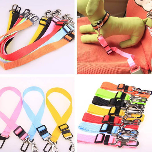 Fixed Strap Polyester Dog Strap Dog Leash Dog Leash in various colors and styles, perfect for pet safety during travel.