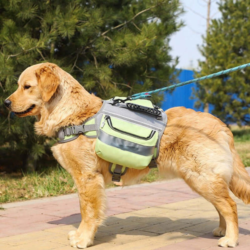 Golden Retriever wearing an Outdoor Large Dog Backpack For Pets in light green color while walking on a trail.