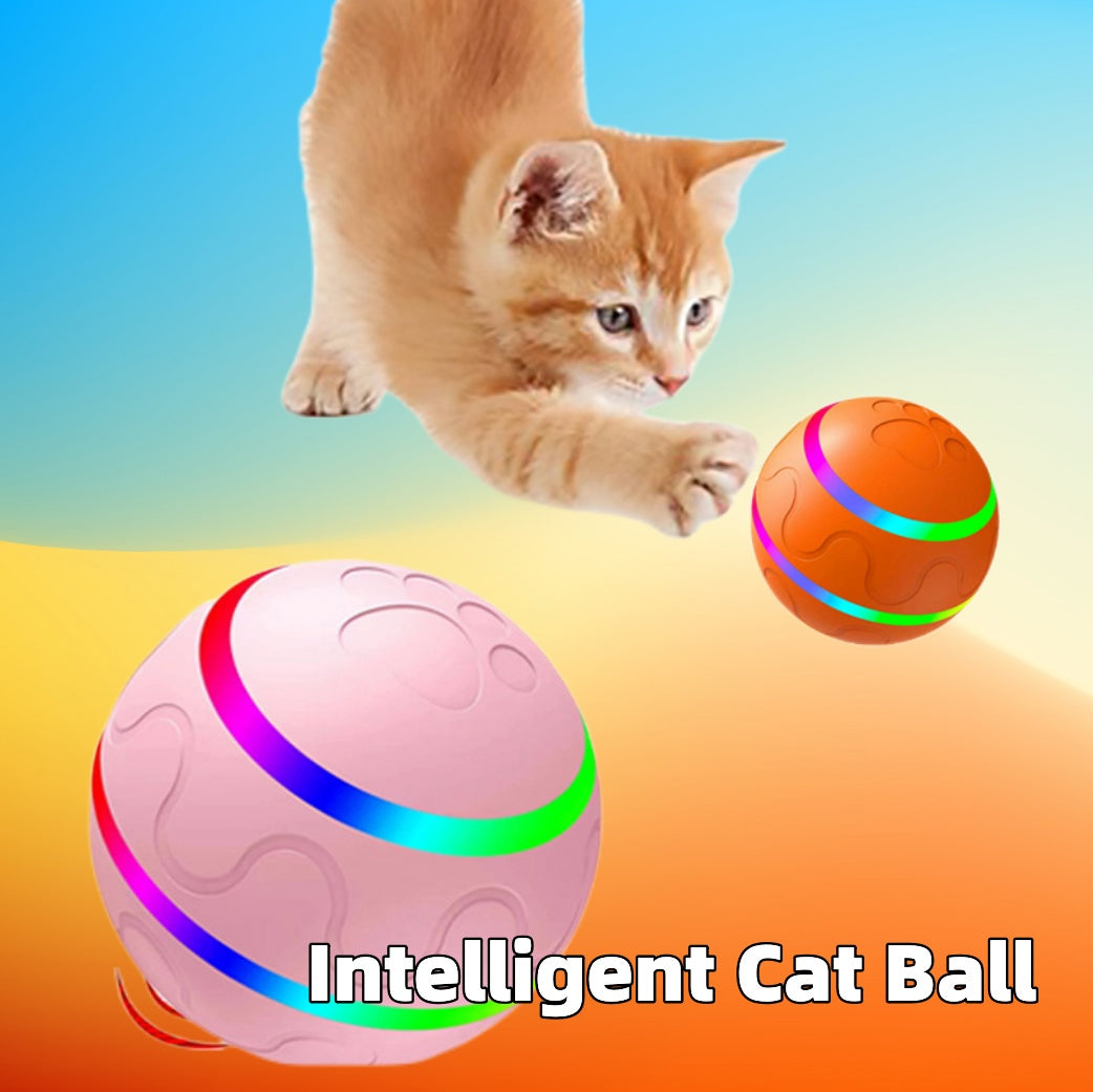 Intelligent Cat Wicked Ball Toy with a playful cat reaching for it, colorful and interactive design.
